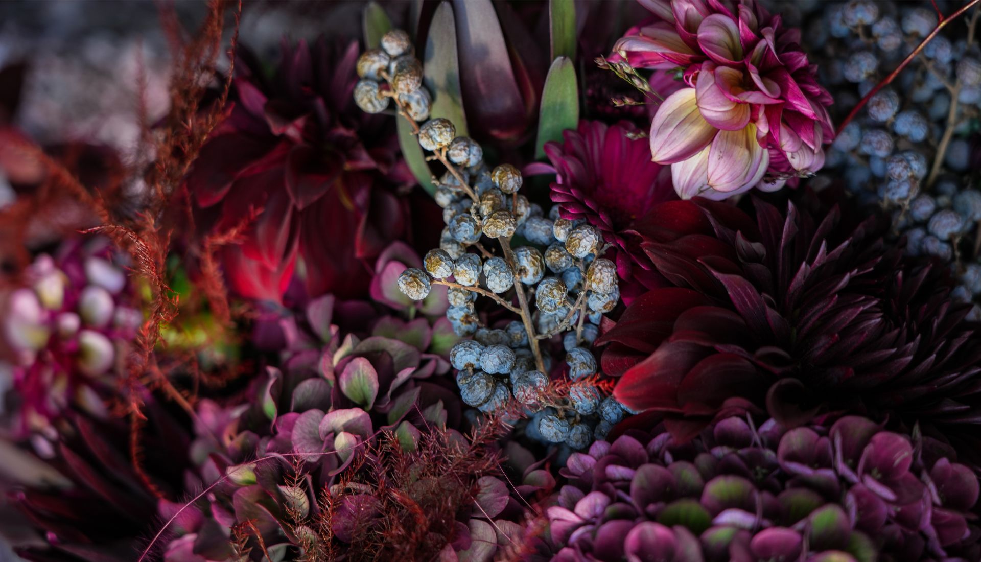 Image Slider